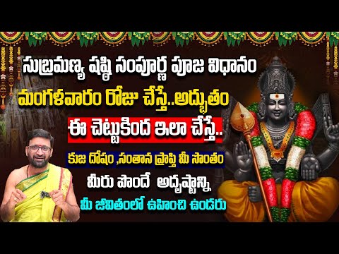 శ్రీ సుబ్రమణ్య స్వామి షష్ఠి పూజా ఇలా చేయండి | Subrahmanya Sashti importance#AstroSyndicate