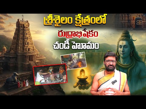 శ్రీశైలం క్షేత్రంలో రుద్రాభిషేకం ,చండీ హోమం | Rudrabhishekam Pooja at Srisailam#AstroSyndicate