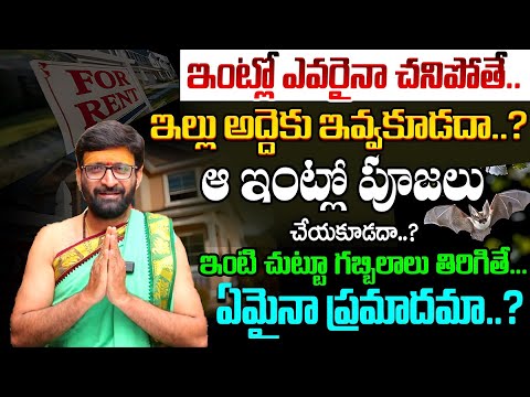 ఇంటి చుట్టూ గబ్బిలాలు తిరిగితే ఏమైనా ప్రమాదమా..? | What to Do When a Bat Gets Into Your House