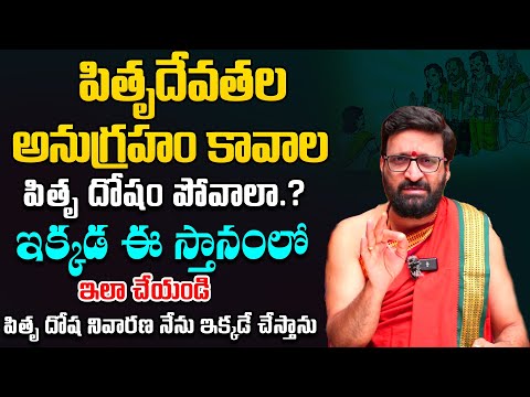 పితృదేవతల దోషం పోవాలా.?  ఇక్కడ ఇలా చేయండి | Pitru Dosha Remedies by Kira Sharma#AstroSyndicate
